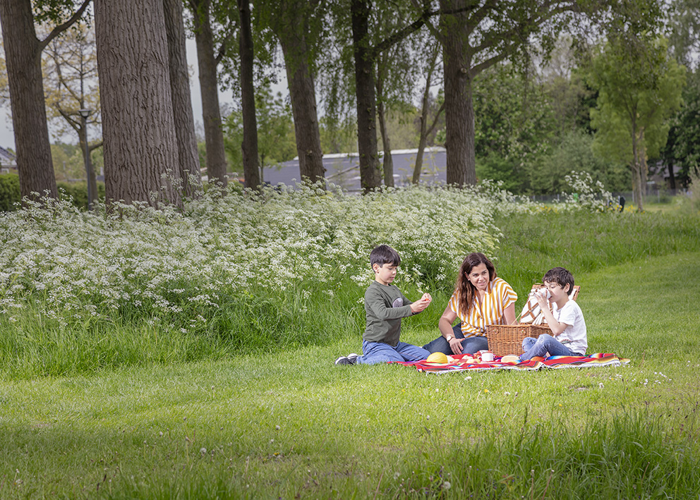 Een moeder met haar kinderen die aan picknicken is