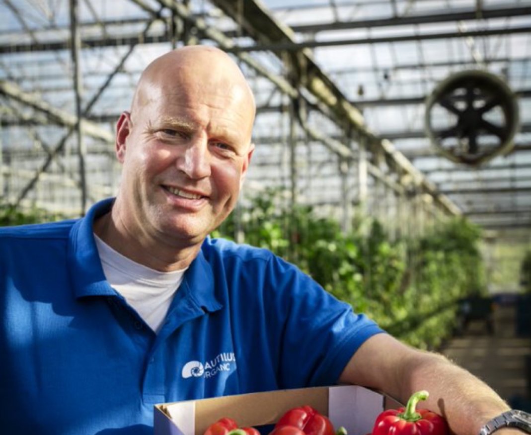 Een man in een kas die een doos paprika's vast heeft